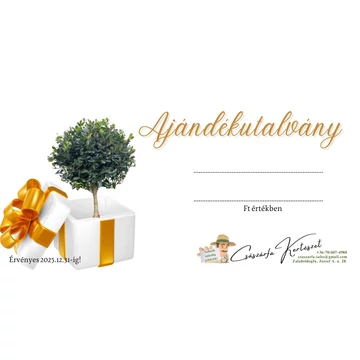 Ajándékutalvány 10,000Ft