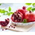 Kép 2/6 - Gyümölcstermő gránátalma törzses 140-160 cm (Punica granatum Melograno)