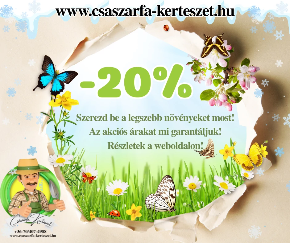 -20%! Válogass és élvezd a kerted!
