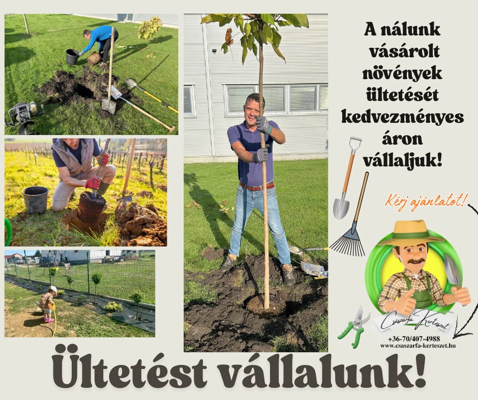 Segítünk A-tól Z-ig!